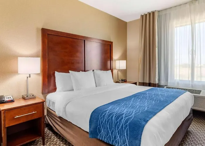 Comfort Inn & Suites Navasota